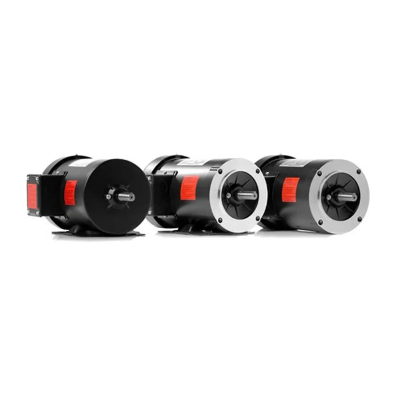 Electric Motors