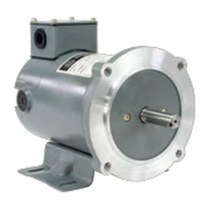 DC TENV / TEFC Motor