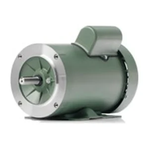 Fractional Farm Duty Motor