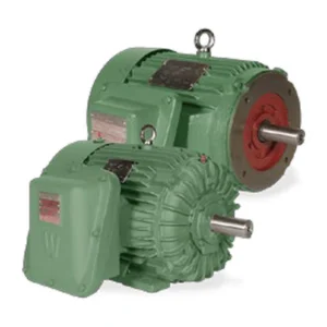 Explosion Proof TEXP Motor
