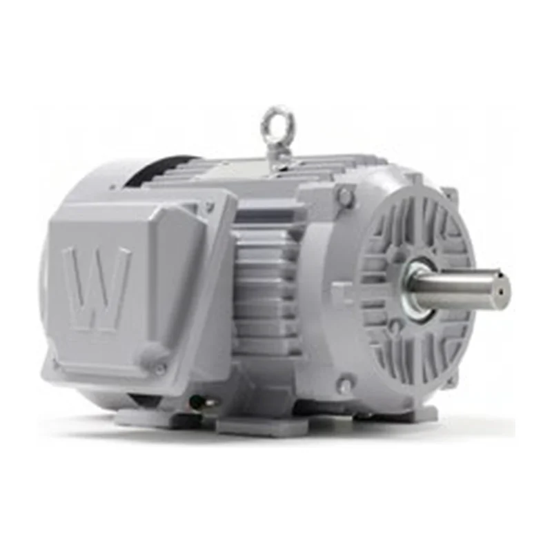 General / Severe / Marine Duty Motors