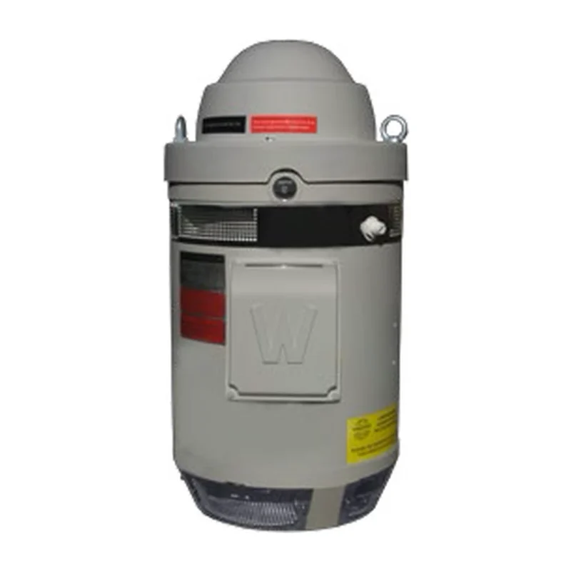 Vertical Hollow Shaft Motors