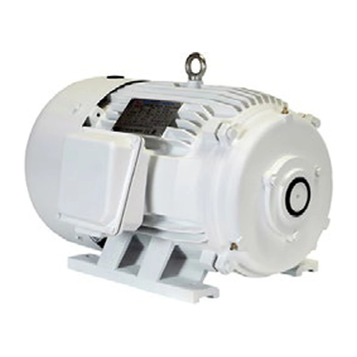 Rotary Phase Converter Motor